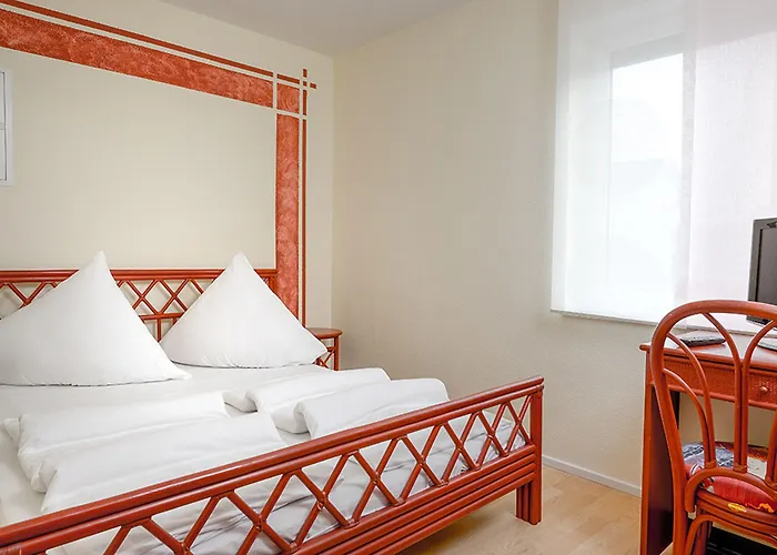 招待所 米索斯旅馆 鲁斯特