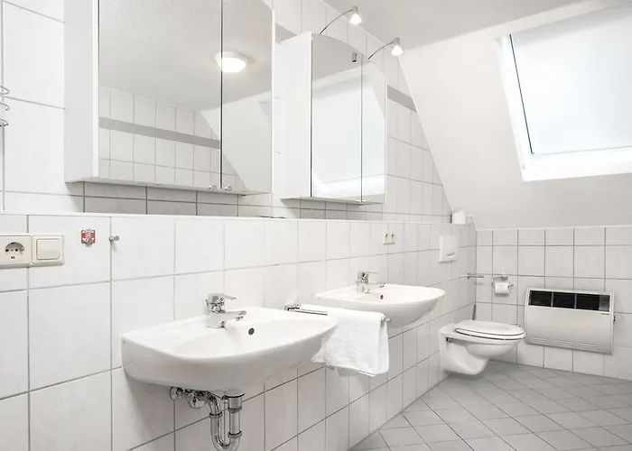 米索斯旅馆 鲁斯特